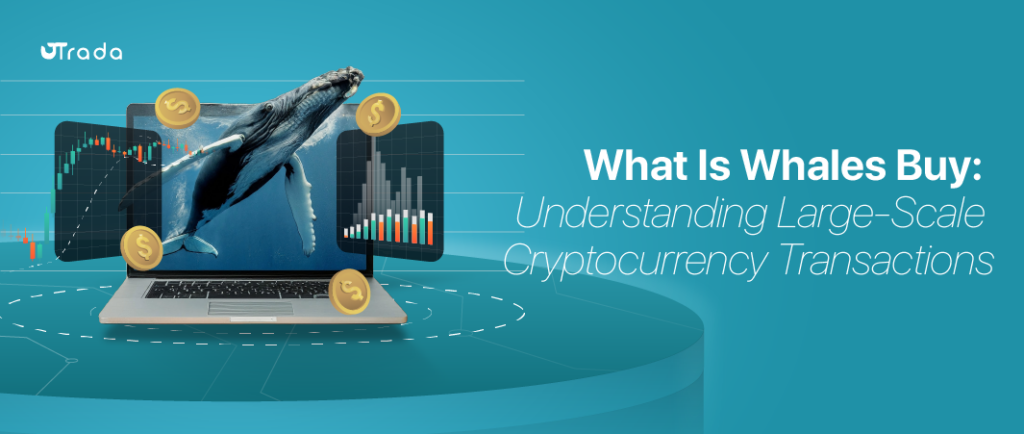 What is Whales Buy?