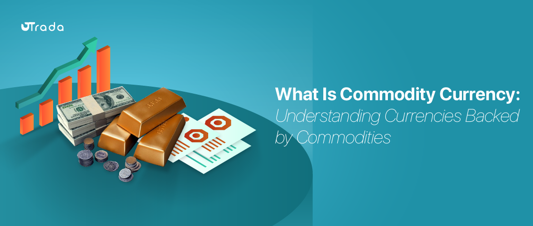 Read more about the article What Is Commodity Currency?