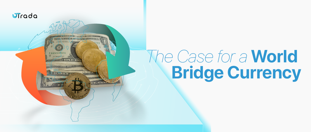 Read more about the article World Bridge Currency: The Challenges and Considerations