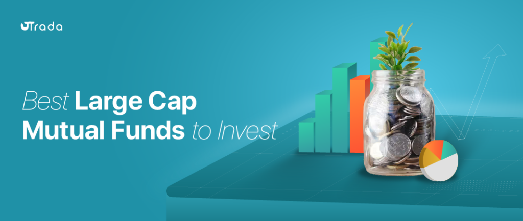 12 Best Large Cap Mutual Funds to Know in 2024