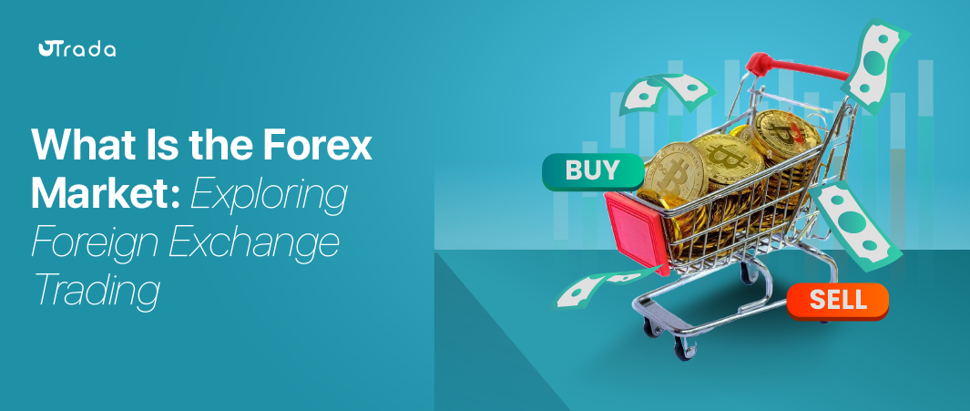 Read more about the article What Is The Forex Market?